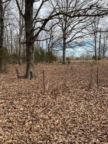 0 Dug Hill Road Fairview TN 37062