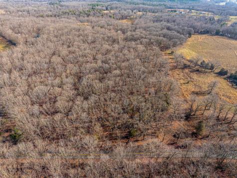 0 Dug Hill Road Fairview TN 37062
