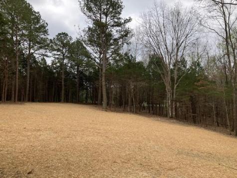 5 Daugherty Capley Road Primm Springs TN 38476