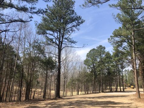 5 Daugherty Capley Road Primm Springs TN 38476