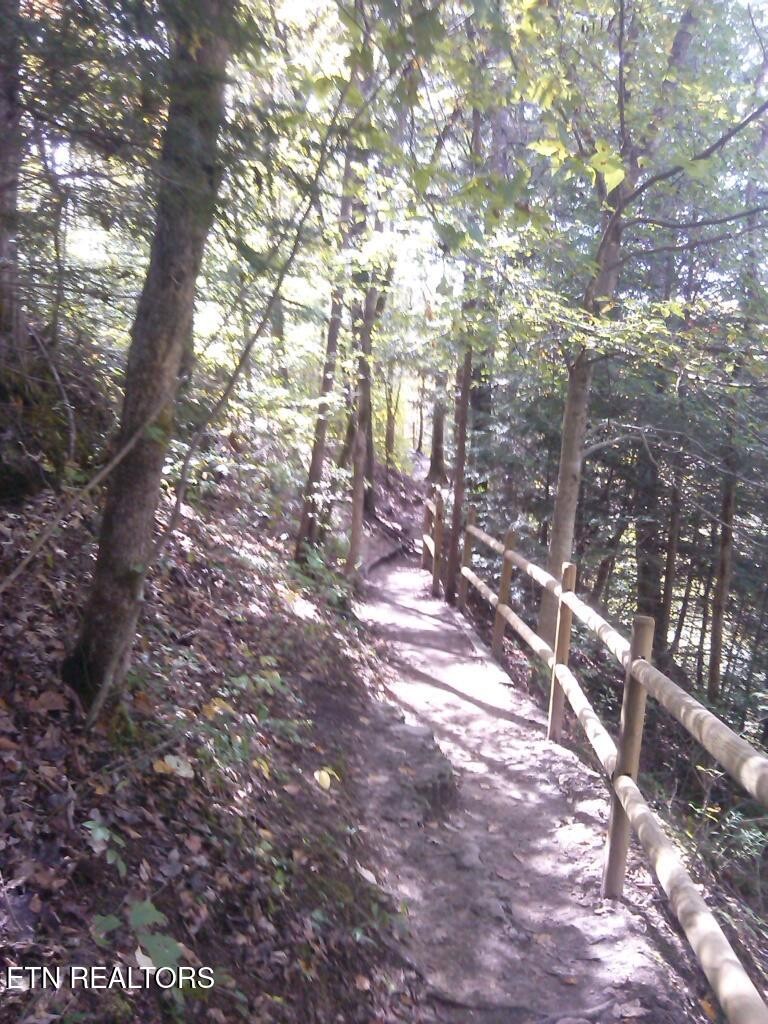 34 Rozzel Road Pikeville TN 37367