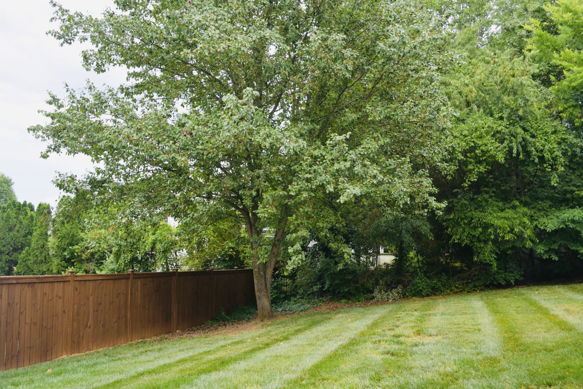 2030 Hidden Cove Road Mount Juliet TN 37122