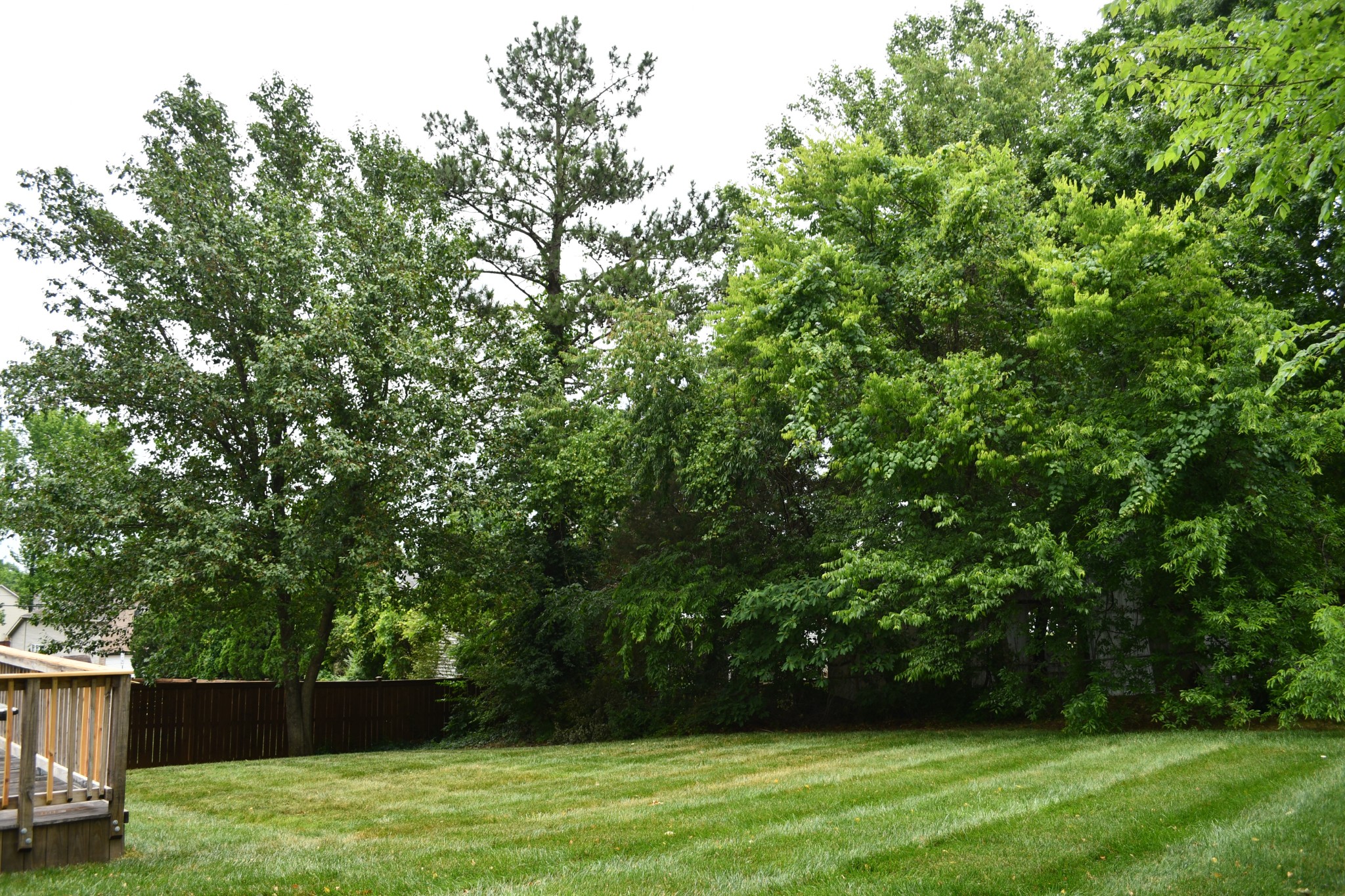 2030 Hidden Cove Road Mount Juliet TN 37122