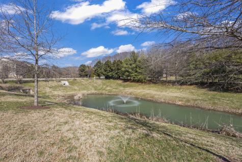 1029 Woodbury Falls Drive Nashville TN 37221