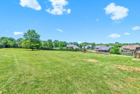 767 Dixie Lane Pleasant View TN 37146