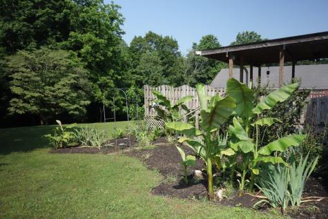 55 Bluebird Lane Lafayette TN 37083