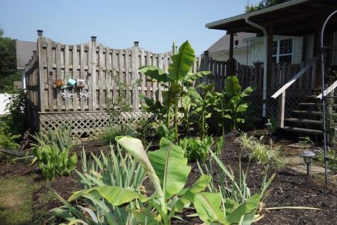 55 Bluebird Lane Lafayette TN 37083