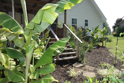 55 Bluebird Lane Lafayette TN 37083