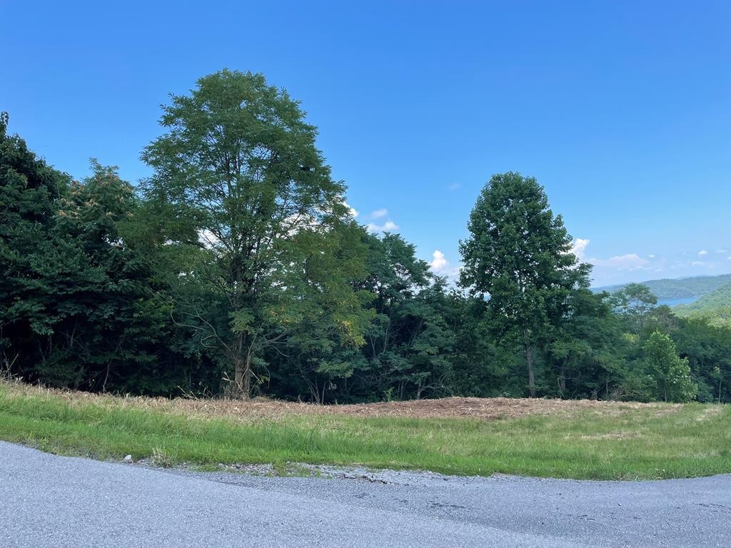 0 Goose Road Hilham TN 38568