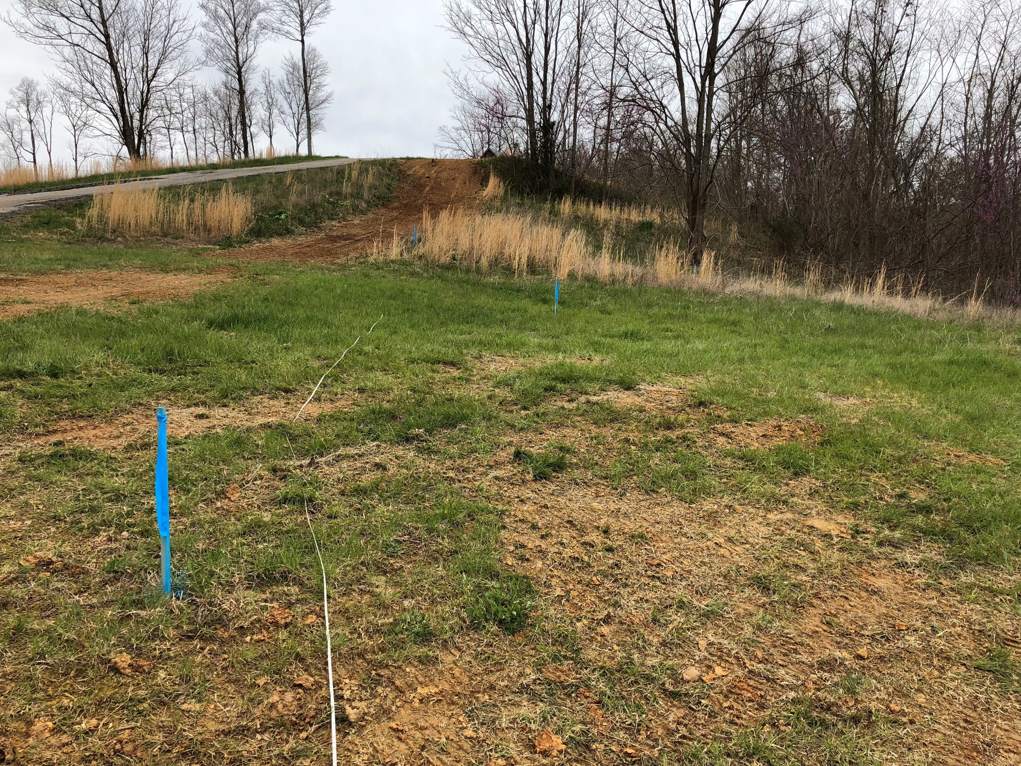 0 Goose Road Hilham TN 38568