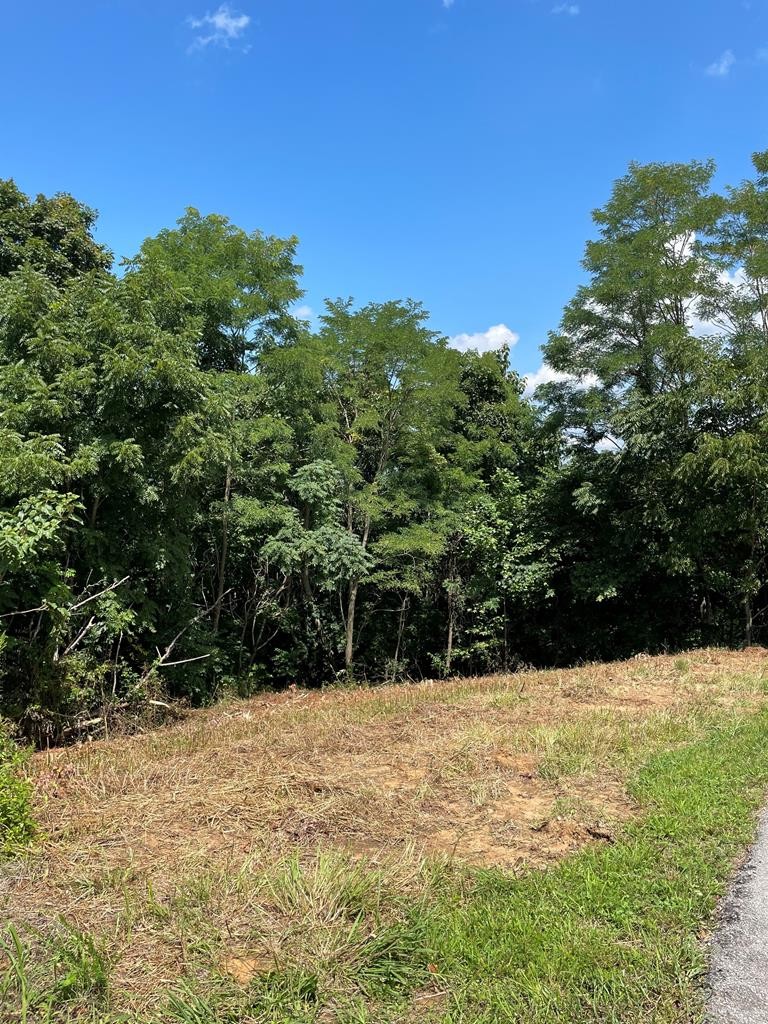 0 Goose Road Hilham TN 38568