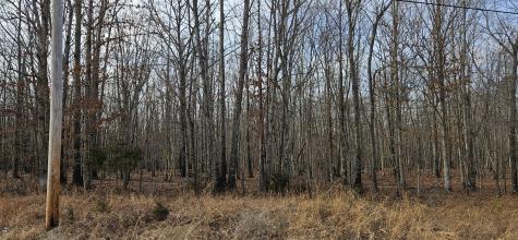 0 Industrial Park Road Nunnelly TN 37137