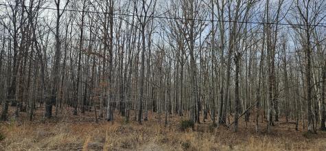 0 Industrial Park Road Nunnelly TN 37137