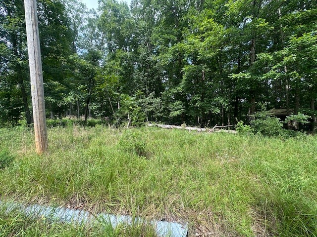 64 Blackwood Drive Nunnelly TN 37137