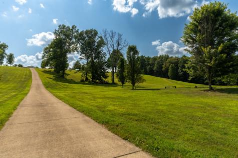 1301 Rogues Fork Road Bethpage TN 37022