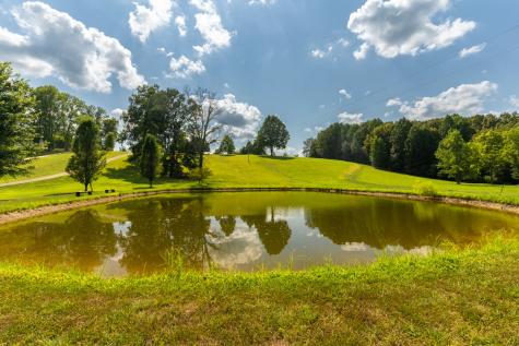 1301 Rogues Fork Road Bethpage TN 37022
