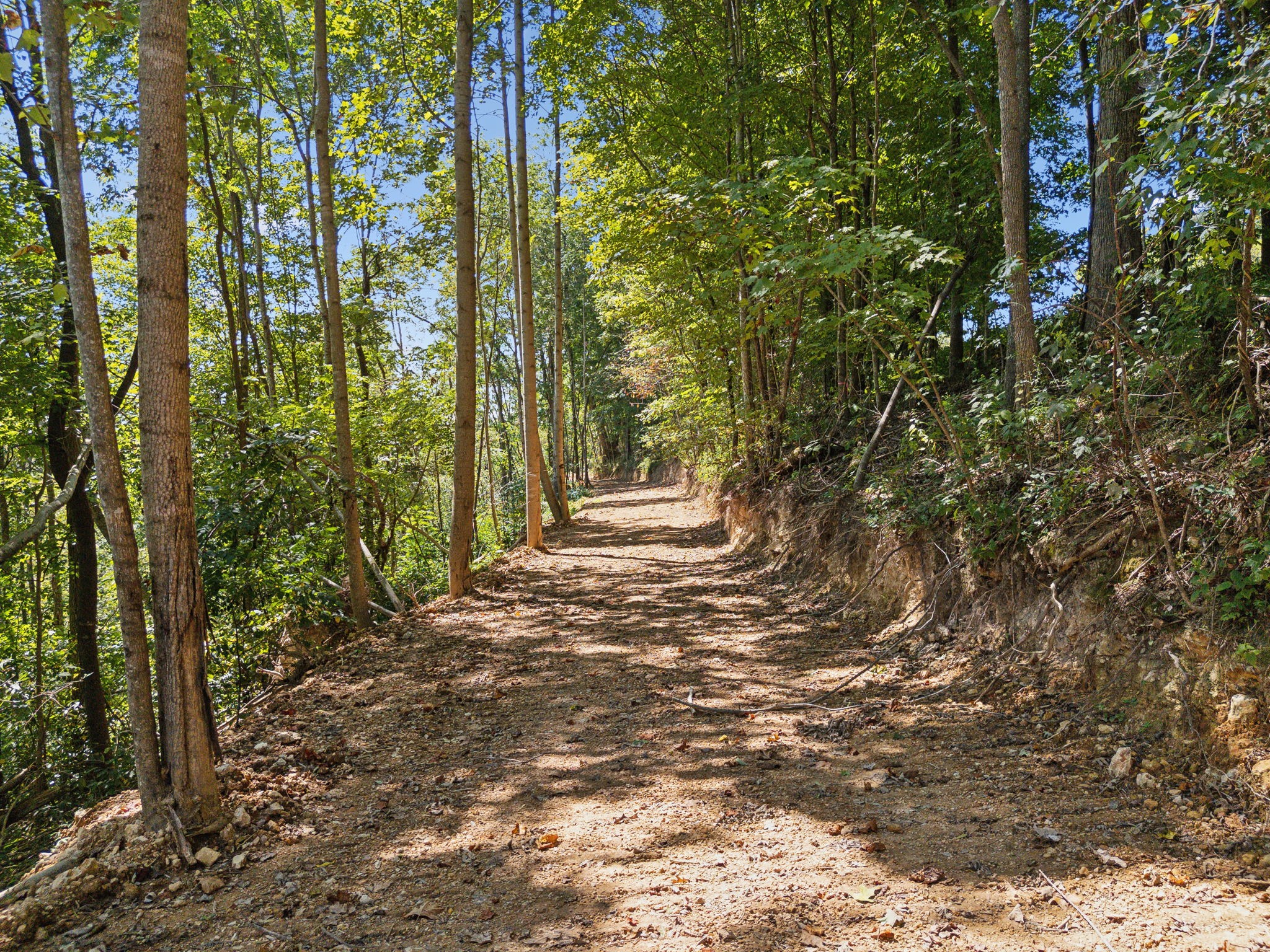 277 Davidson Chapel Lane Bloomington Springs TN 38545