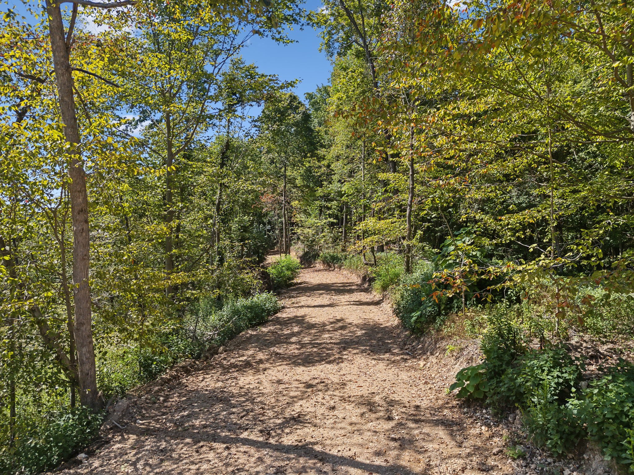 277 Davidson Chapel Lane Bloomington Springs TN 38545