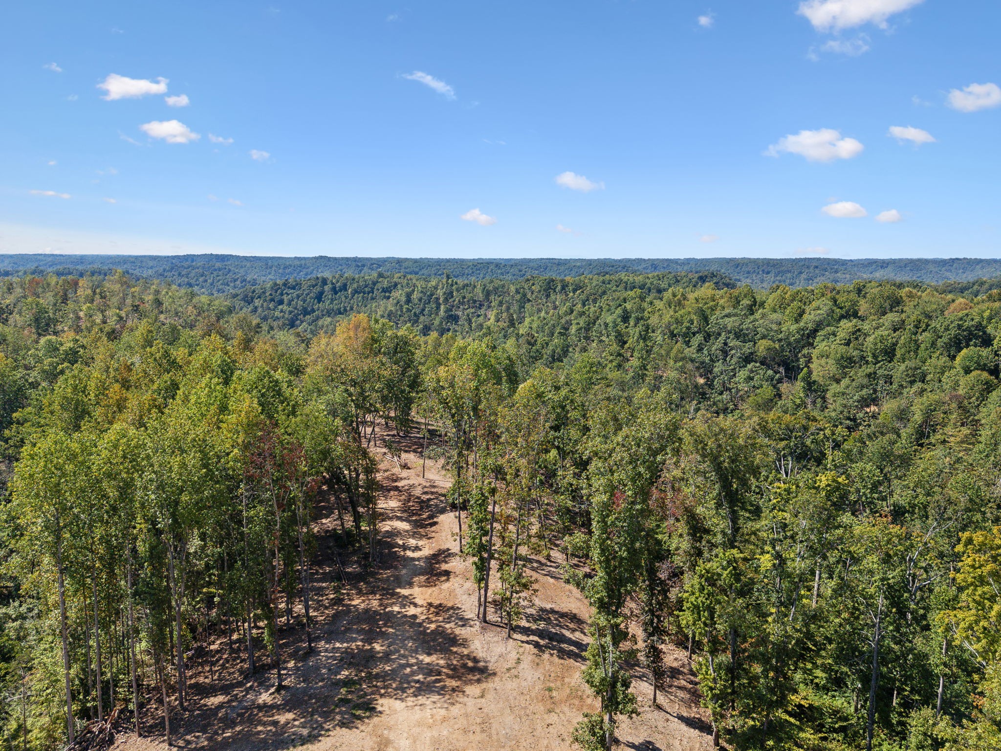 277 Davidson Chapel Lane Bloomington Springs TN 38545