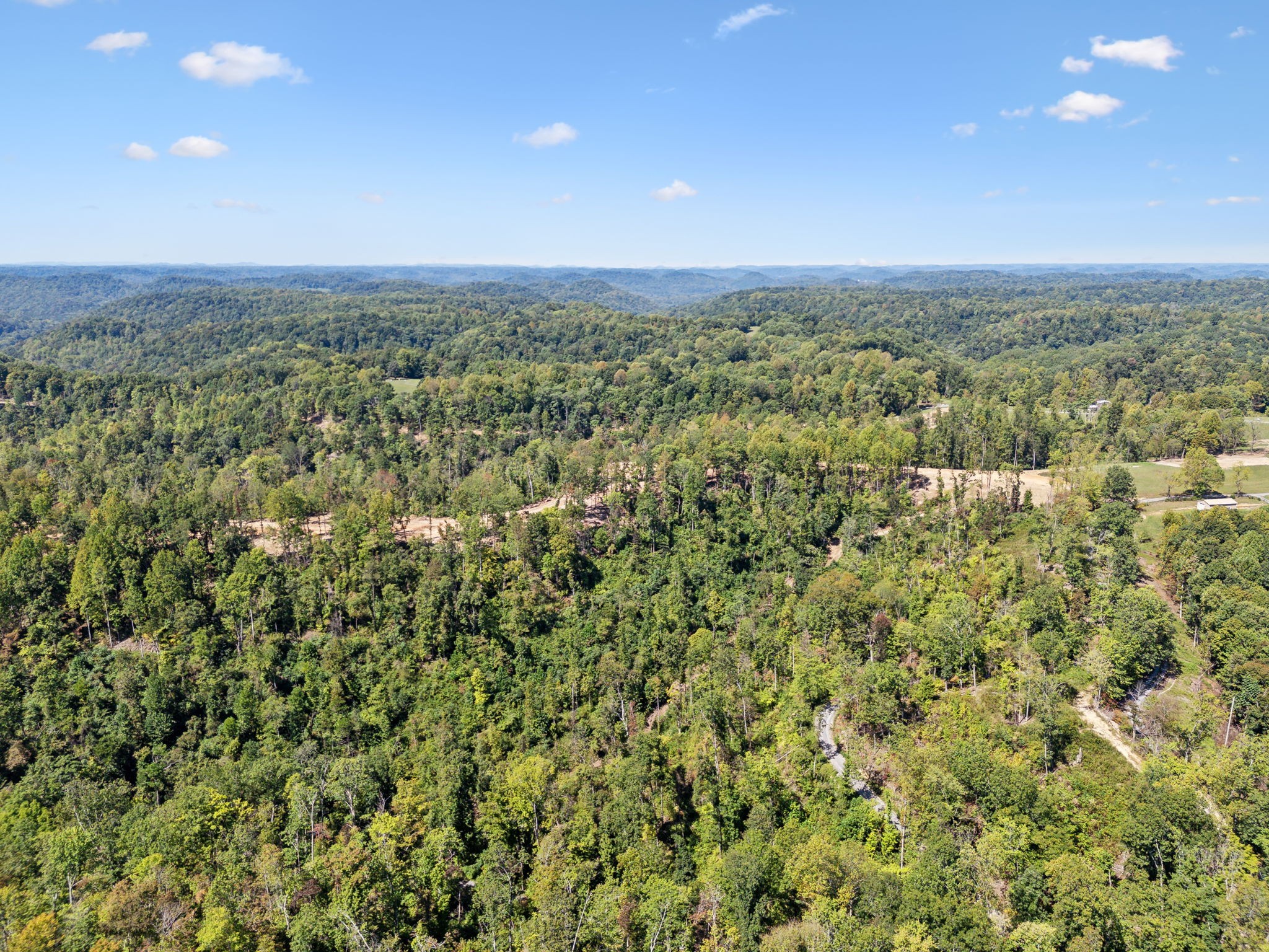 277 Davidson Chapel Lane Bloomington Springs TN 38545