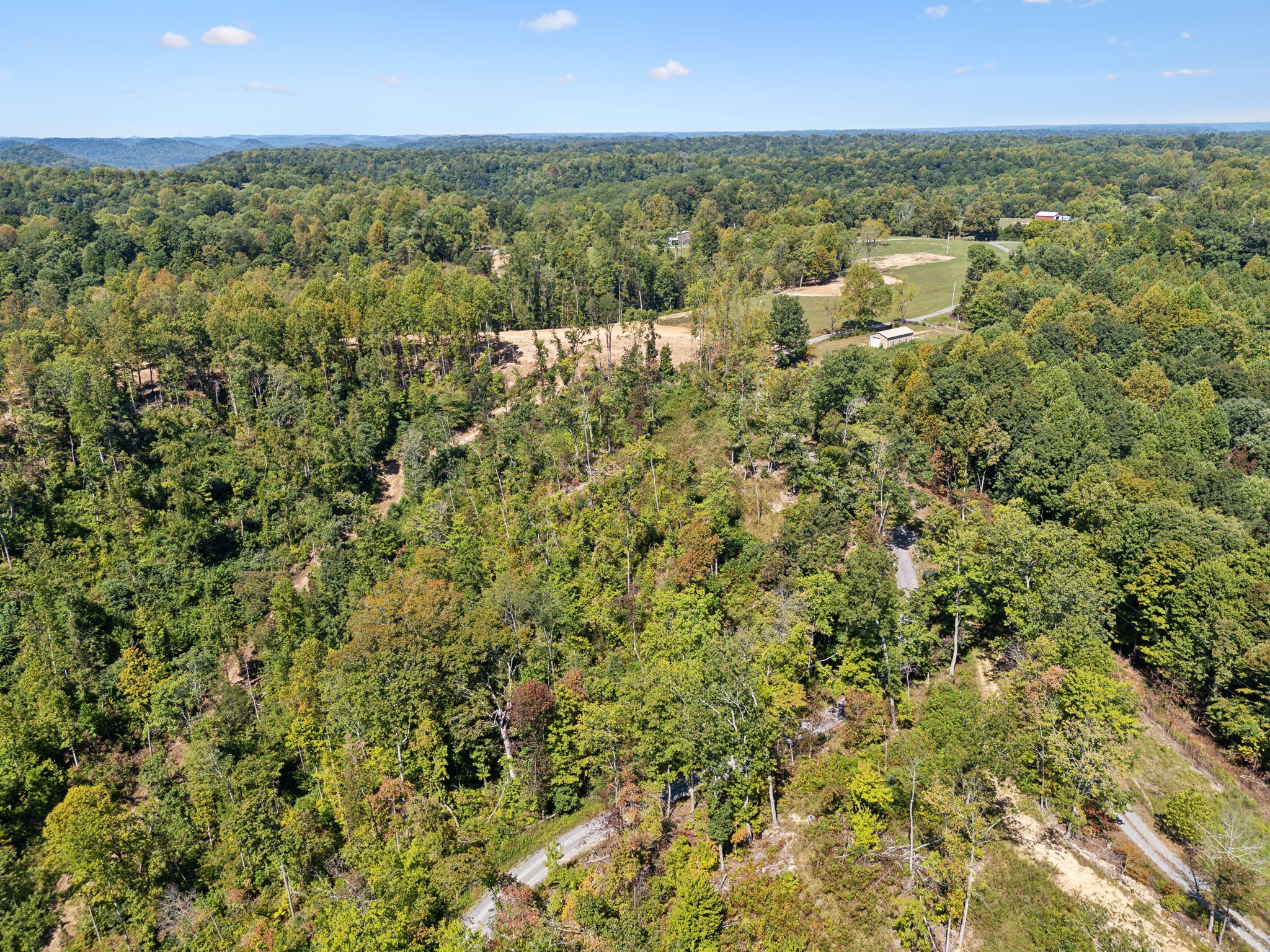 277 Davidson Chapel Lane Bloomington Springs TN 38545