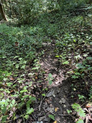 0 State Route 108 Altamont TN 37301