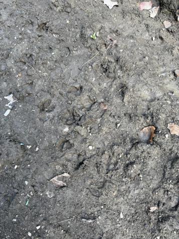 0 State Route 108 Altamont TN 37301