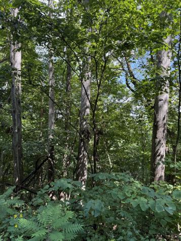 0 State Route 108 Altamont TN 37301