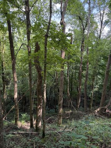 0 State Route 108 Altamont TN 37301