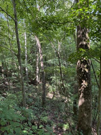 0 State Route 108 Altamont TN 37301