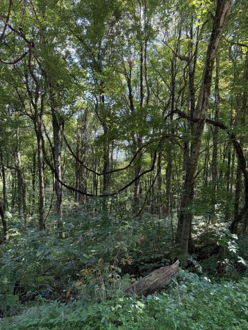 0 State Route 108 Altamont TN 37301