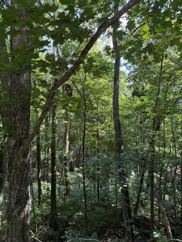 0 State Route 108 Altamont TN 37301