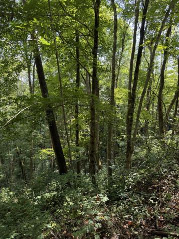 0 State Route 108 Altamont TN 37301