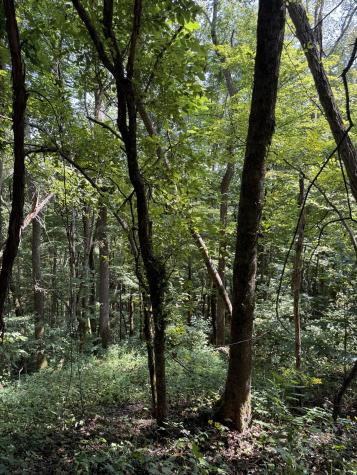 0 State Route 108 Altamont TN 37301