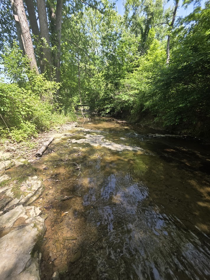 1310 Carney Winters Road Ashland City TN 37015