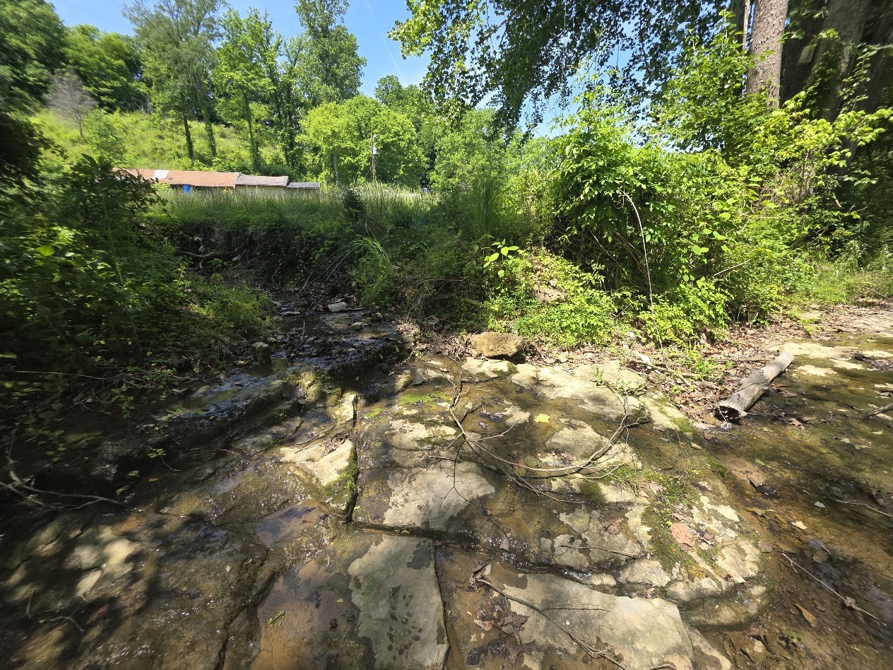 1310 Carney Winters Road Ashland City TN 37015