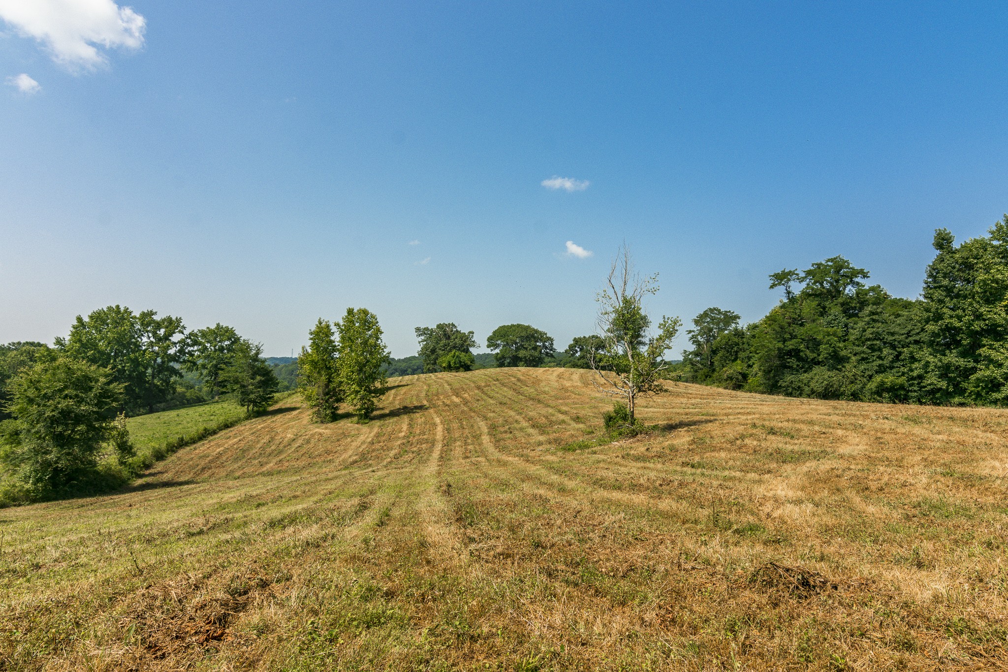 0 S Thompson Lane Goodlettsville TN 37072
