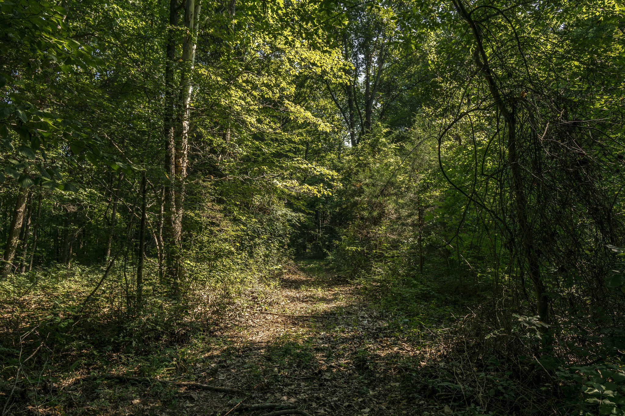 0 S Thompson Lane Goodlettsville TN 37072