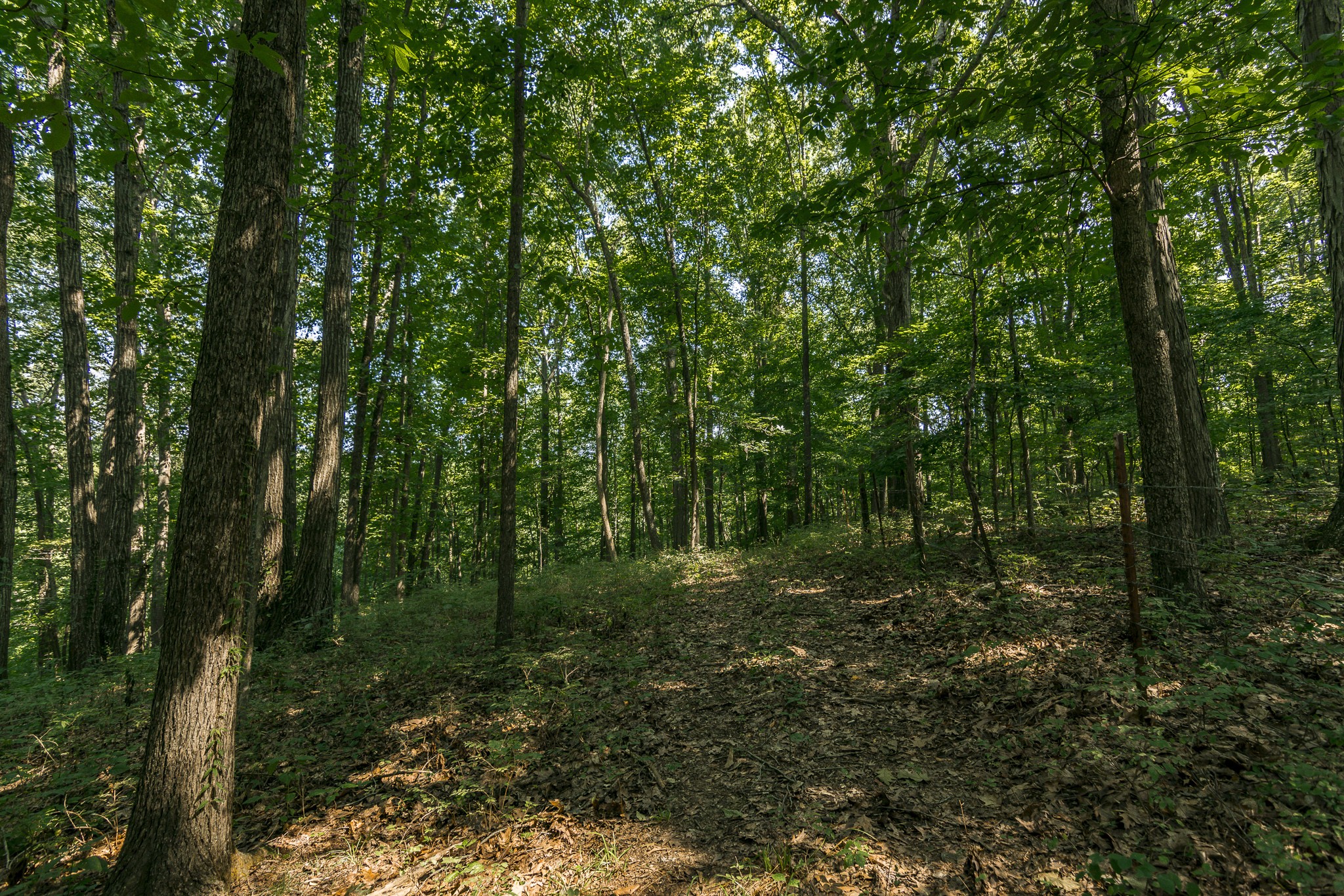 0 S Thompson Lane Goodlettsville TN 37072
