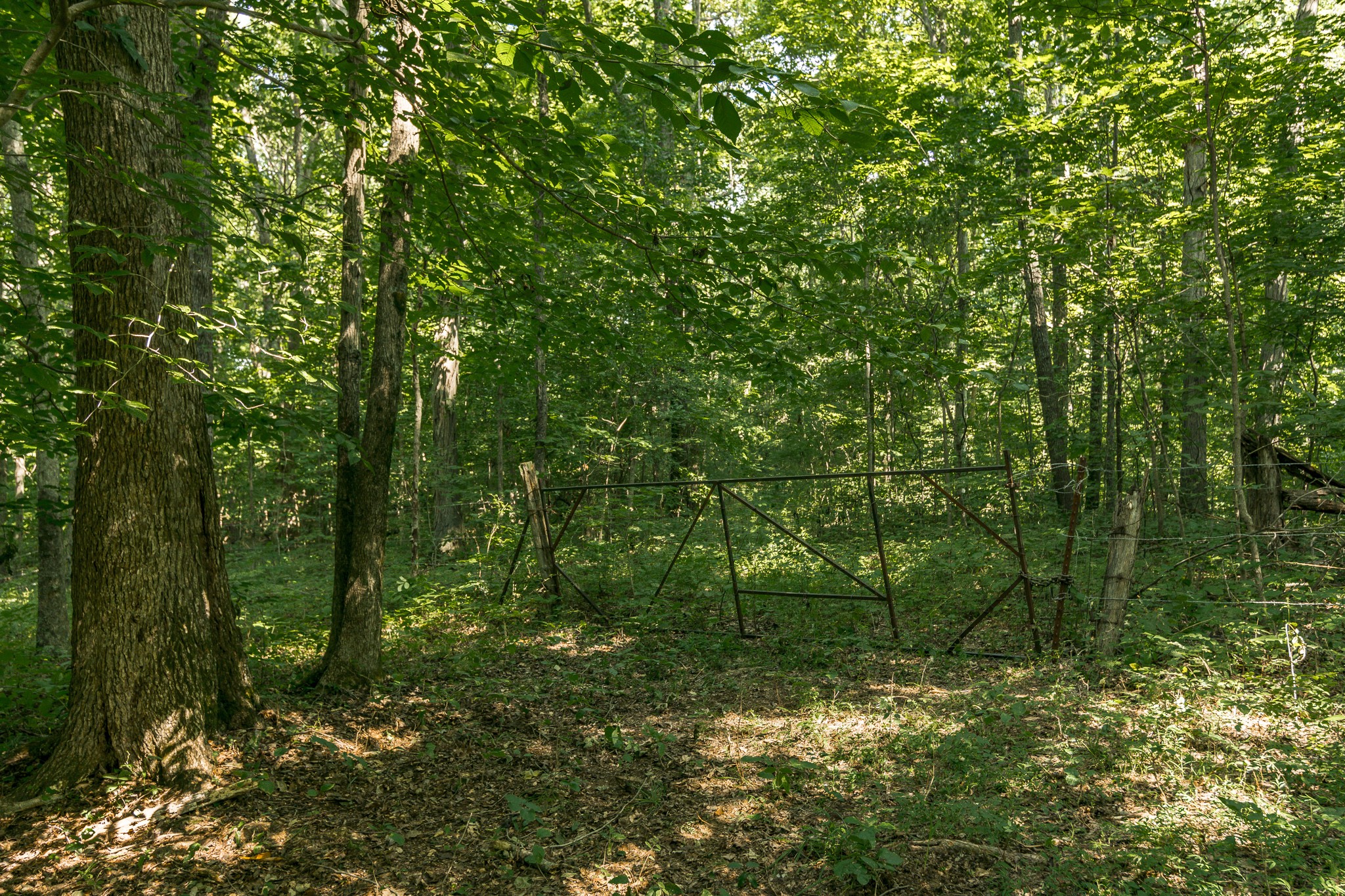 0 S Thompson Lane Goodlettsville TN 37072