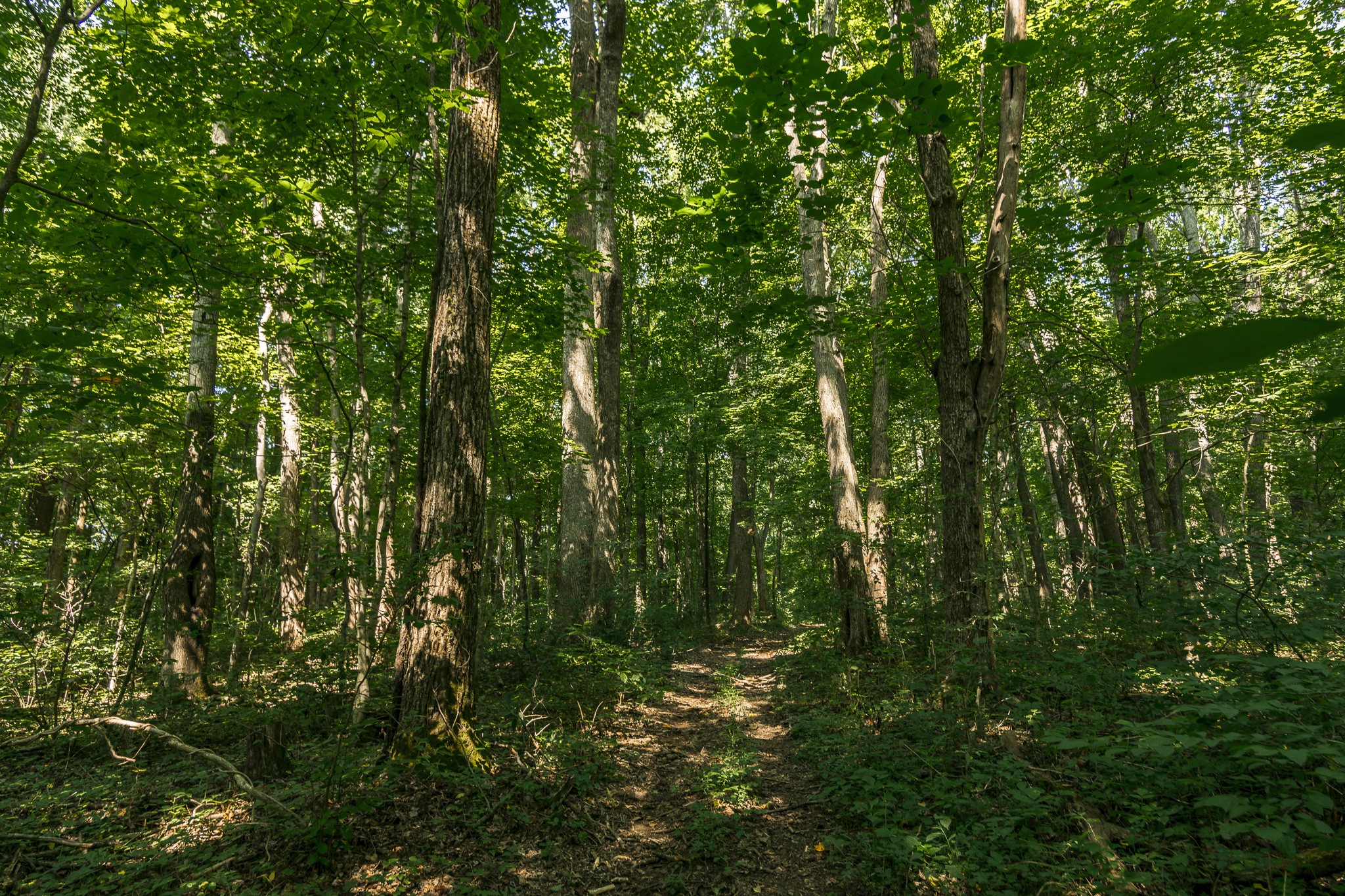0 S Thompson Lane Goodlettsville TN 37072