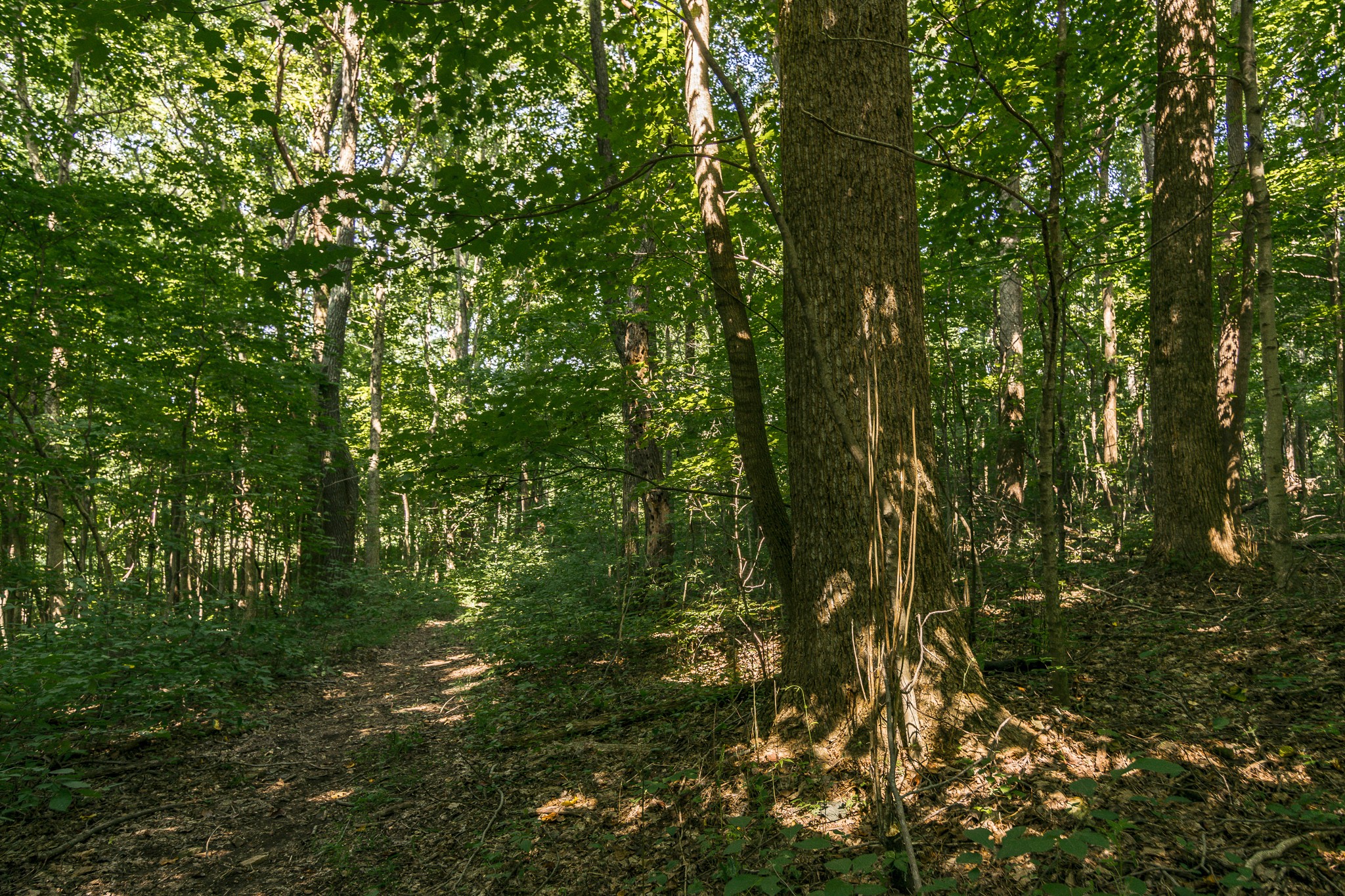 0 S Thompson Lane Goodlettsville TN 37072