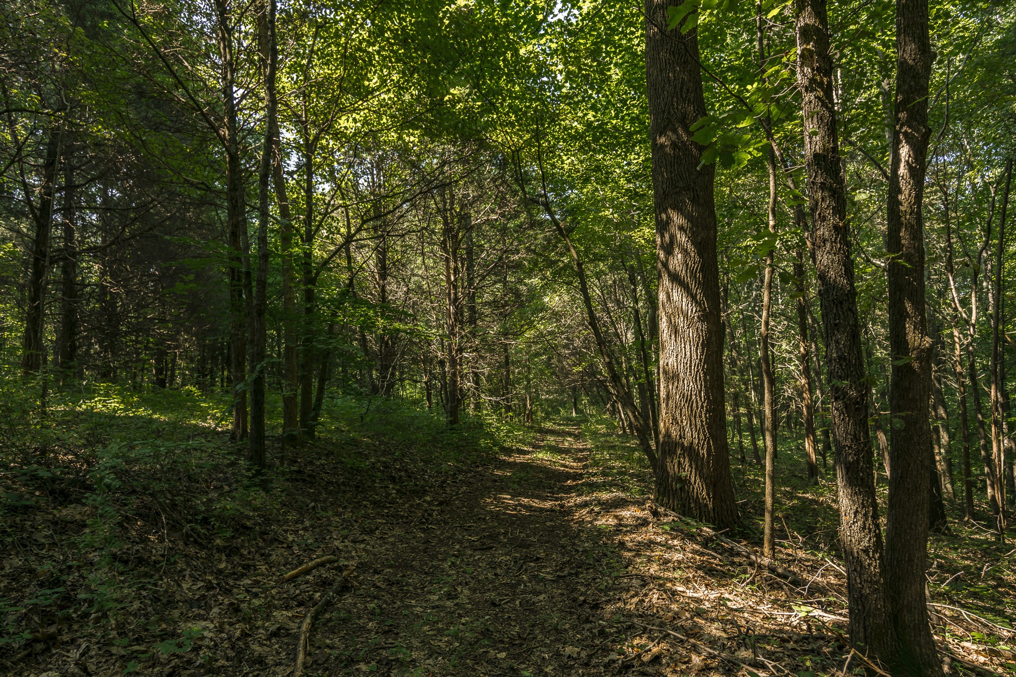 0 S Thompson Lane Goodlettsville TN 37072