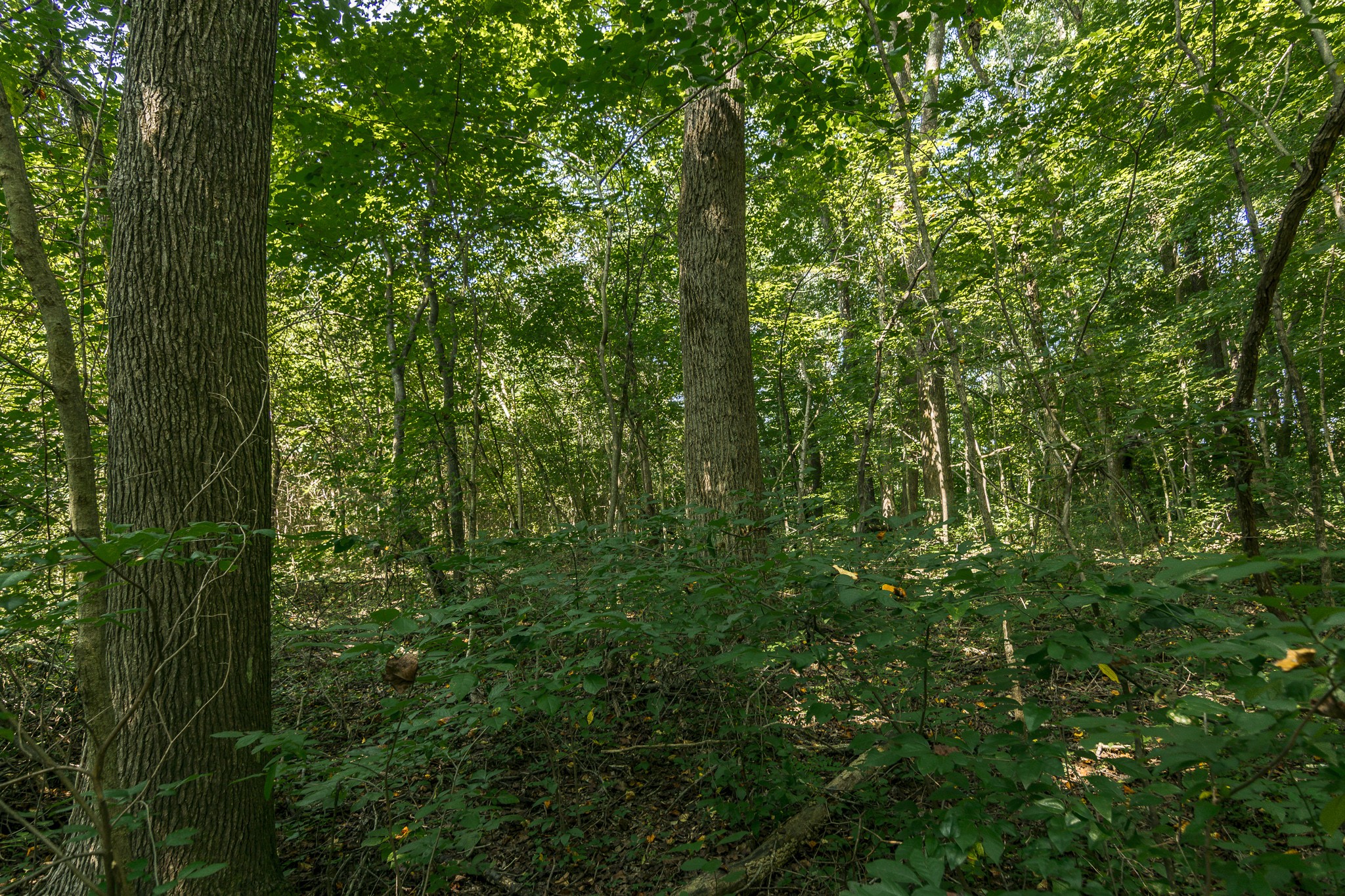 0 S Thompson Lane Goodlettsville TN 37072