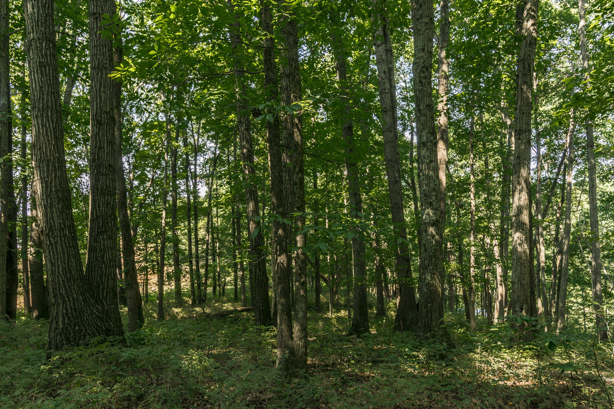 0 S Thompson Lane Goodlettsville TN 37072