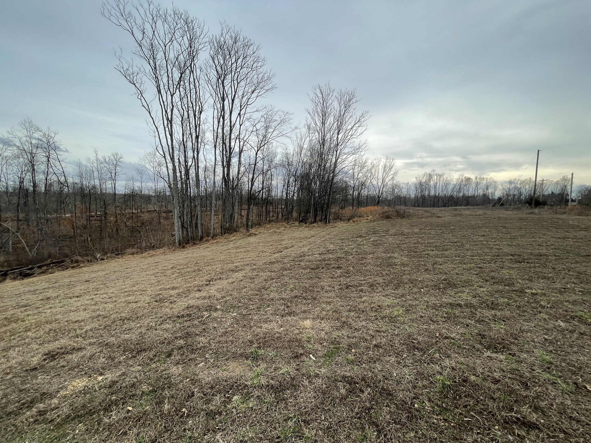 44 Ridgeway Avenue Smithville TN 37166