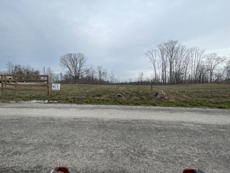 44 Ridgeway Avenue Smithville TN 37166
