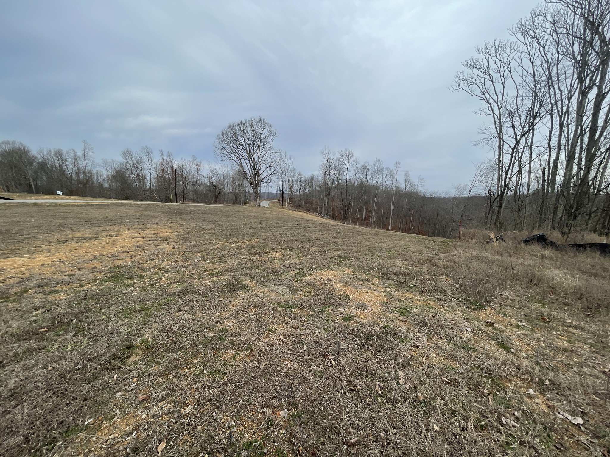 44 Ridgeway Avenue Smithville TN 37166