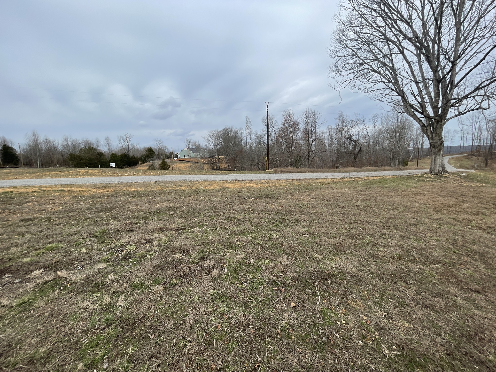 44 Ridgeway Avenue Smithville TN 37166