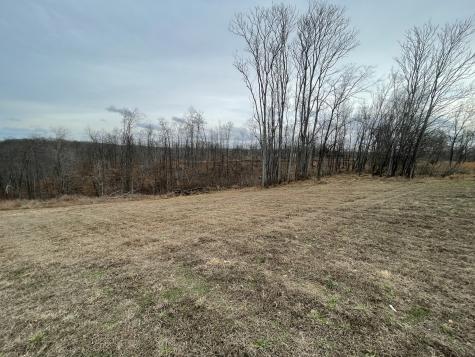 44 Ridgeway Avenue Smithville TN 37166
